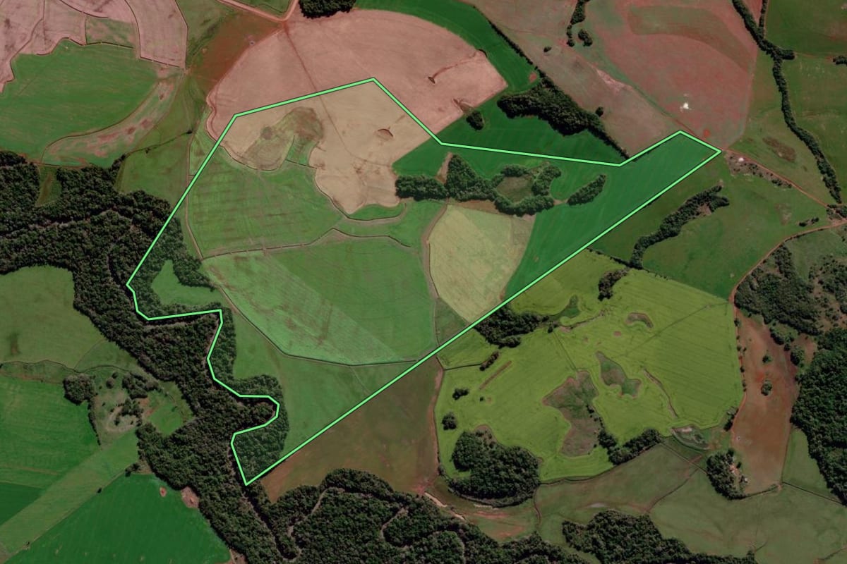 Imagem de satélite do imóvel rural em São Nicolau (RS), com o contorno declarado no CAR desenhado por cima.