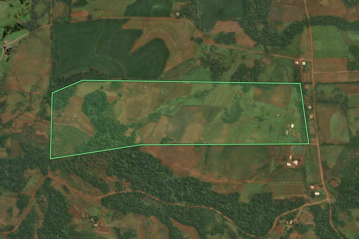 Imagem de satélite do imóvel rural em São Paulo das Missões (RS), com o contorno declarado no CAR desenhado por cima.