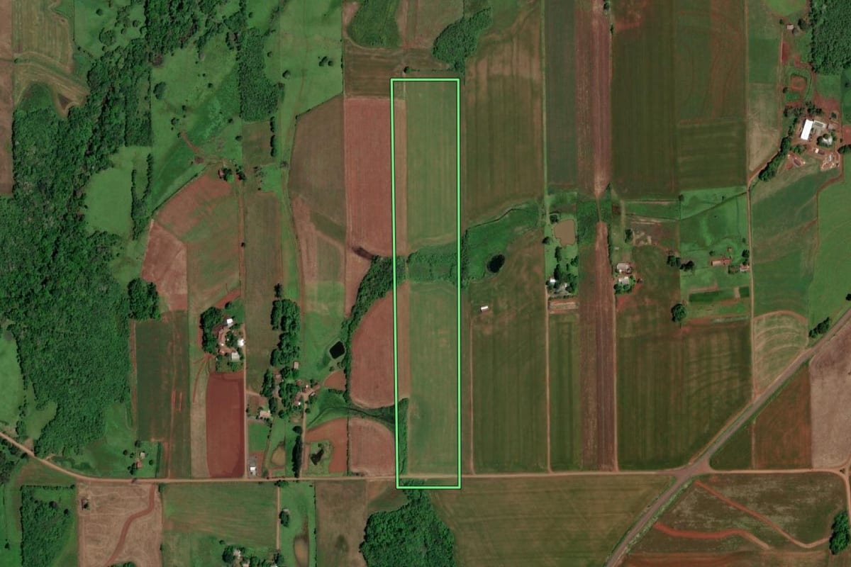 Imagem de satélite do imóvel rural em São Paulo das Missões (RS), com o contorno declarado no CAR desenhado por cima.