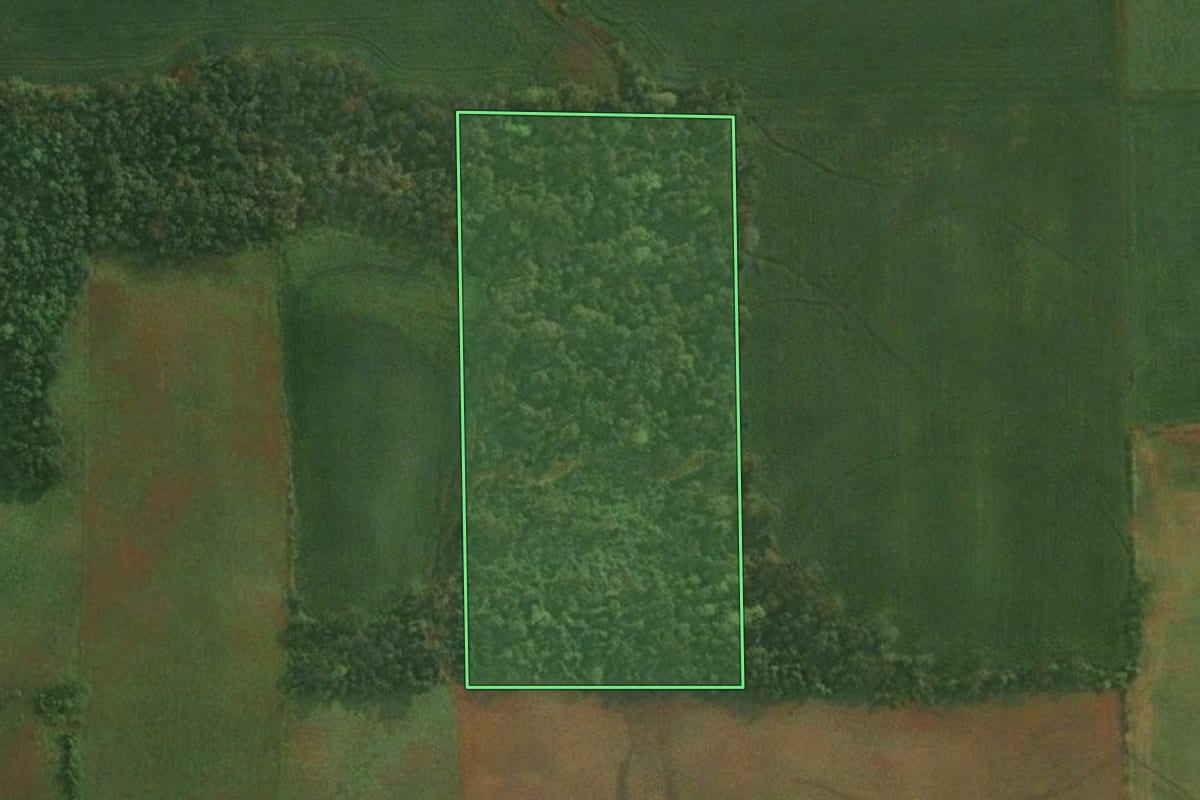 Imagem de satélite do imóvel rural em São Paulo das Missões (RS), com o contorno declarado no CAR desenhado por cima.