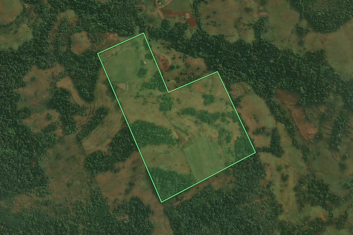 Imagem de satélite do imóvel rural em São Paulo das Missões (RS), com o contorno declarado no CAR desenhado por cima.