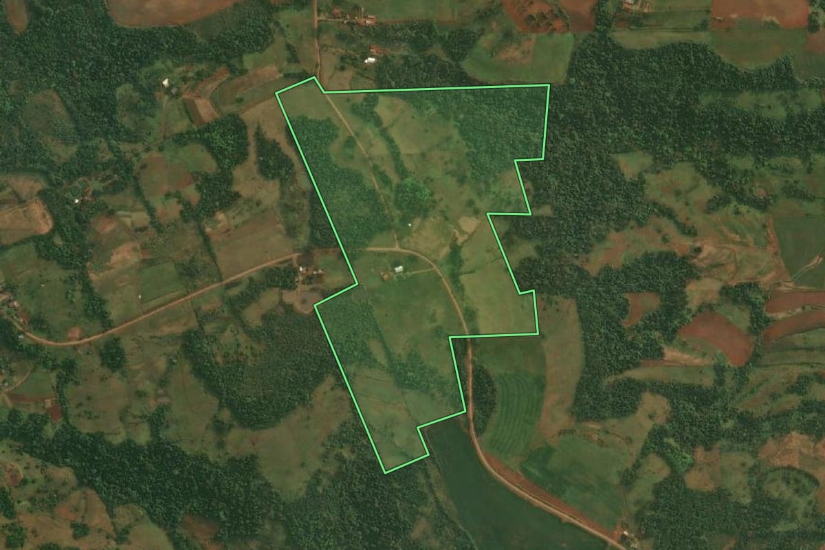 Imagem de satélite do imóvel rural em São Paulo das Missões (RS), com o contorno declarado no CAR desenhado por cima.