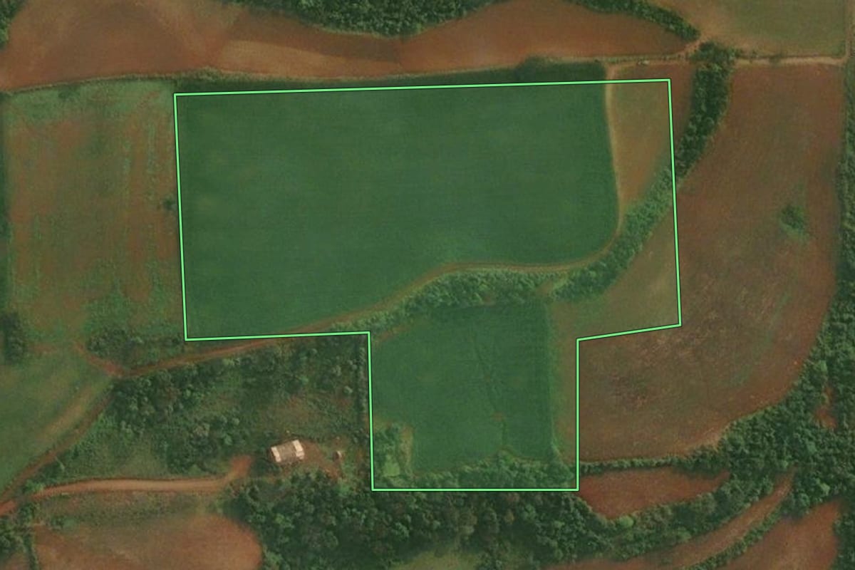 Imagem de satélite do imóvel rural em São Paulo das Missões (RS), com o contorno declarado no CAR desenhado por cima.
