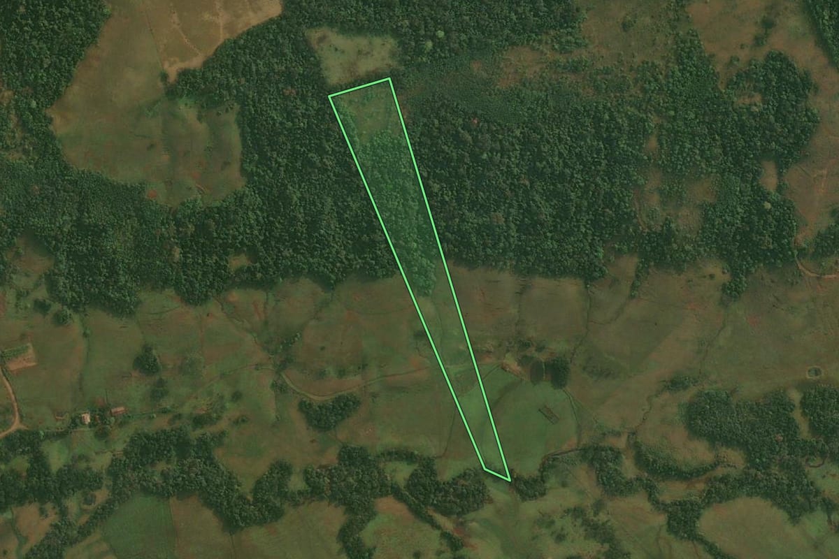 Imagem de satélite do imóvel rural em São Paulo das Missões (RS), com o contorno declarado no CAR desenhado por cima.