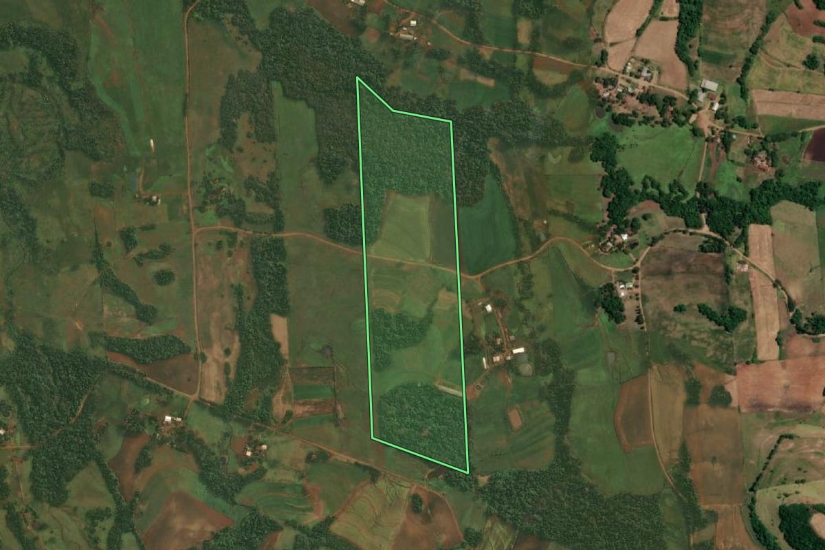 Imagem de satélite do imóvel rural em São Paulo das Missões (RS), com o contorno declarado no CAR desenhado por cima.