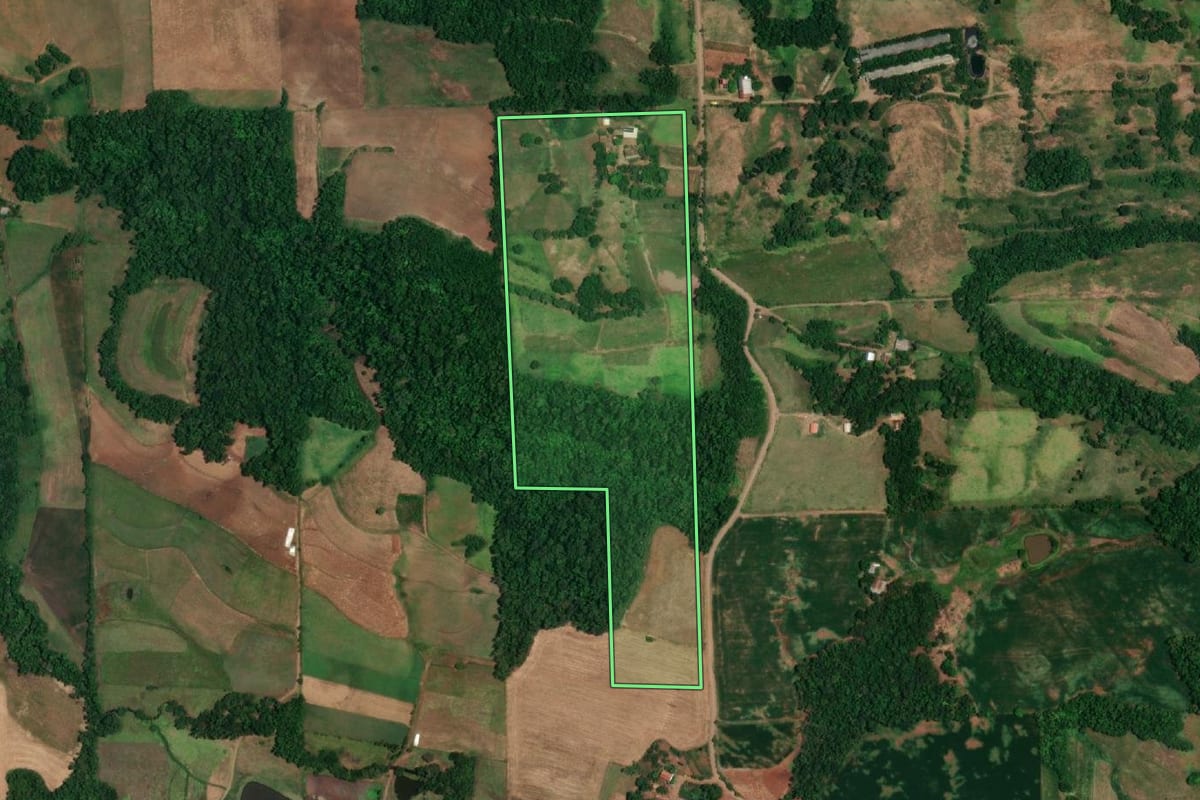 Imagem de satélite do imóvel rural em São Paulo das Missões (RS), com o contorno declarado no CAR desenhado por cima.