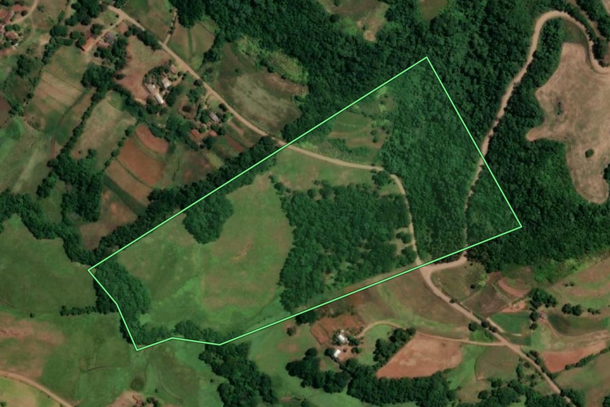 Imagem de satélite do imóvel rural em São Paulo das Missões (RS), com o contorno declarado no CAR desenhado por cima.
