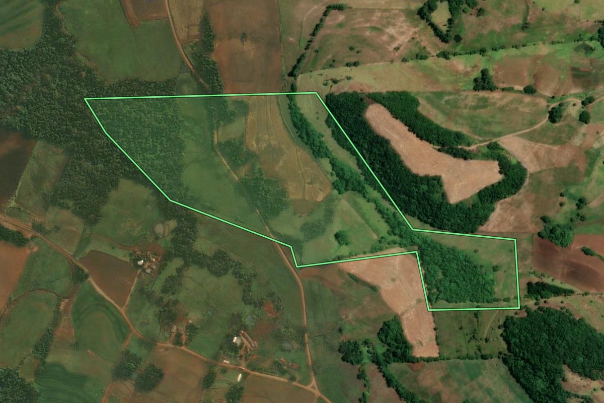 Imagem de satélite do imóvel rural em São Paulo das Missões (RS), com o contorno declarado no CAR desenhado por cima.