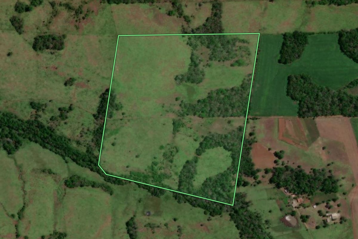 Imagem de satélite do imóvel rural em São Paulo das Missões (RS), com o contorno declarado no CAR desenhado por cima.