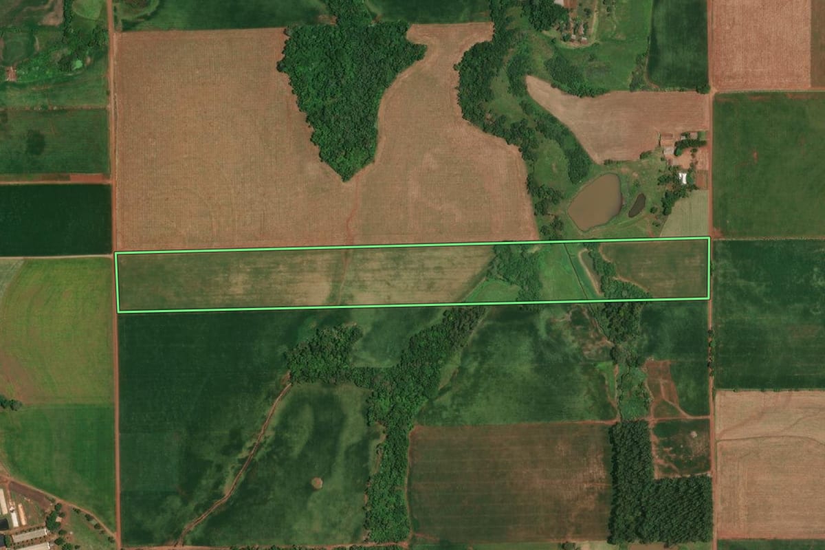 Imagem de satélite do imóvel rural em São Paulo das Missões (RS), com o contorno declarado no CAR desenhado por cima.