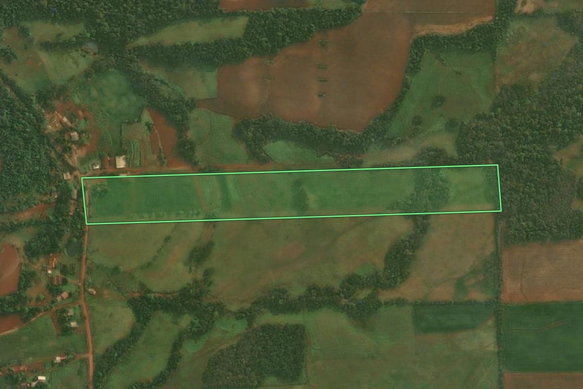 Imagem de satélite do imóvel rural em São Paulo das Missões (RS), com o contorno declarado no CAR desenhado por cima.