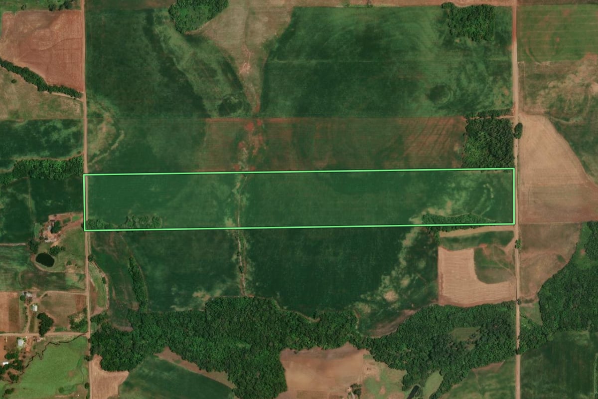 Imagem de satélite do imóvel rural em São Paulo das Missões (RS), com o contorno declarado no CAR desenhado por cima.