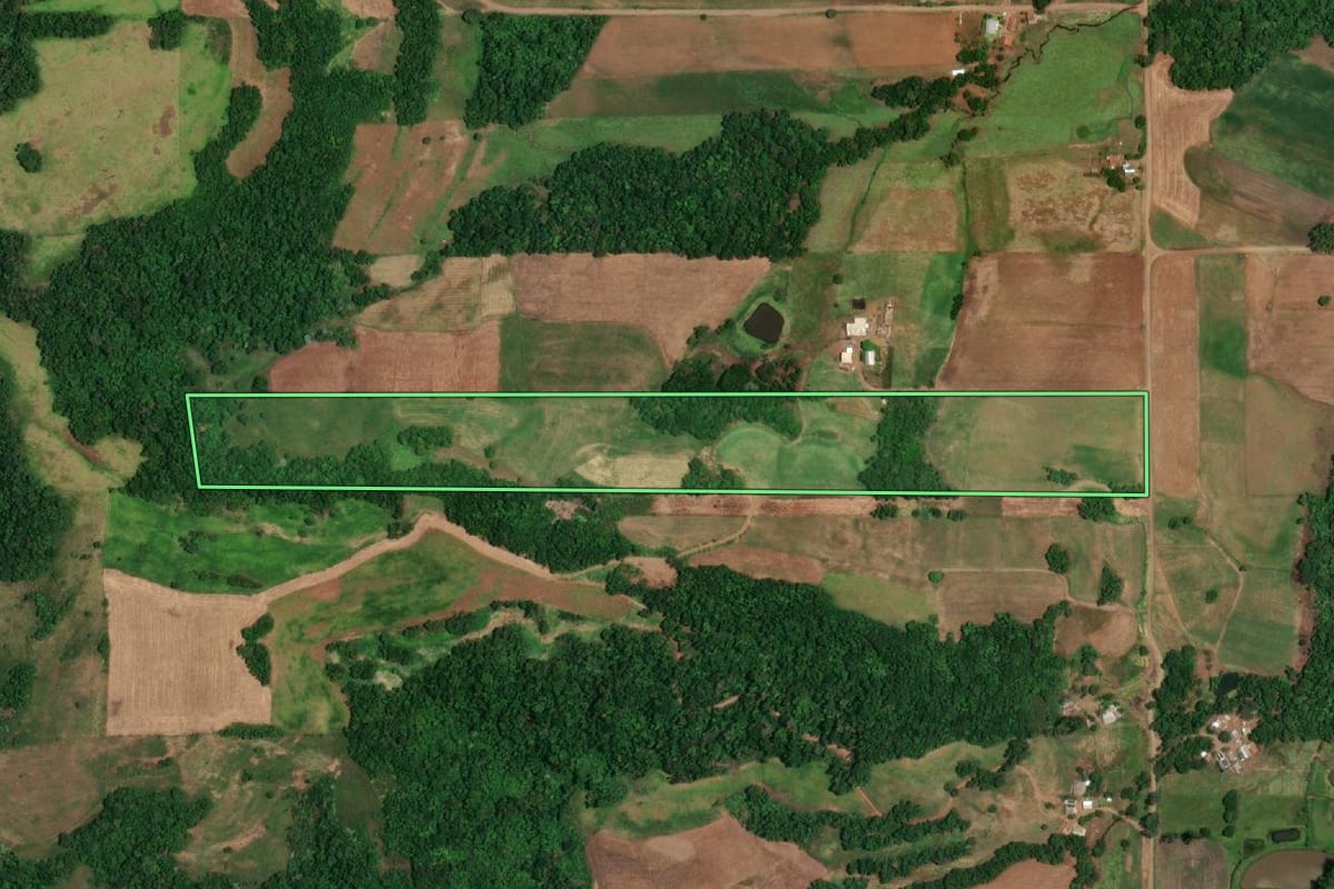 Imagem de satélite do imóvel rural em São Paulo das Missões (RS), com o contorno declarado no CAR desenhado por cima.