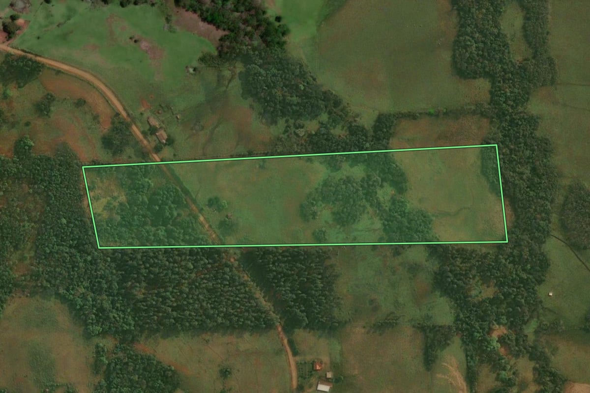 Imagem de satélite do imóvel rural em São Paulo das Missões (RS), com o contorno declarado no CAR desenhado por cima.
