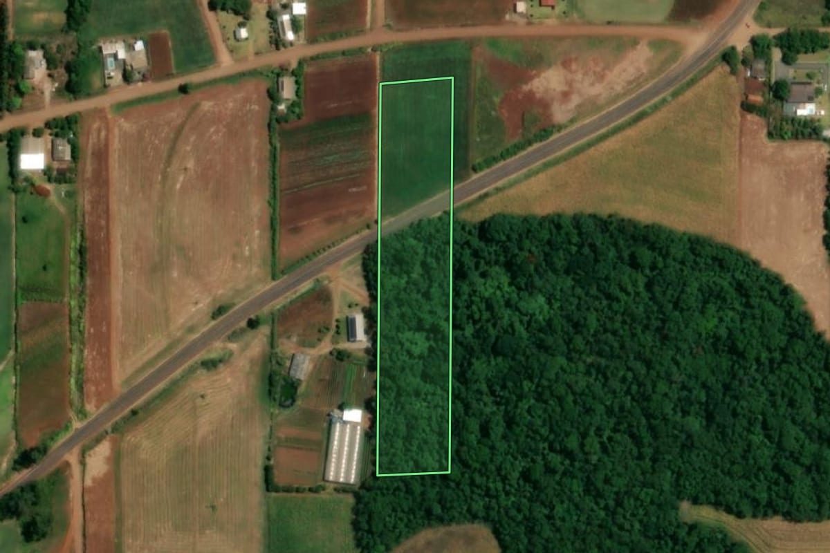 Imagem de satélite do imóvel rural em São Paulo das Missões (RS), com o contorno declarado no CAR desenhado por cima.