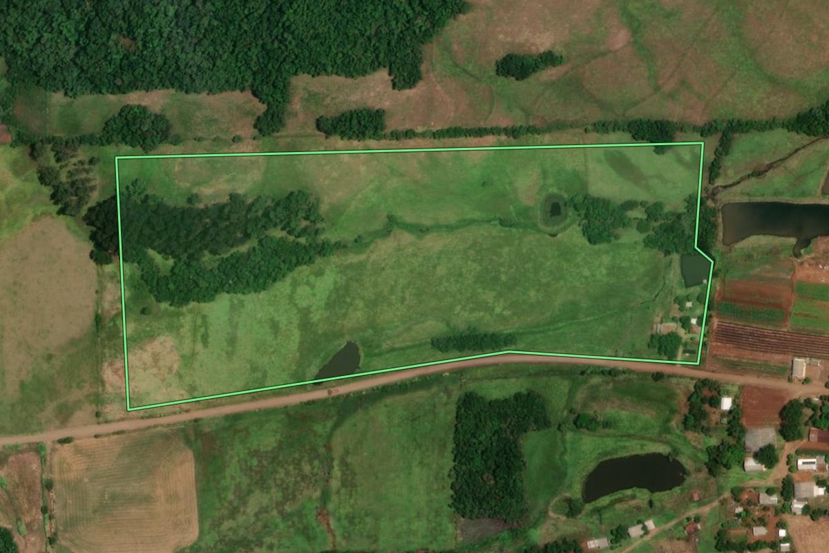 Imagem de satélite do imóvel rural em São Paulo das Missões (RS), com o contorno declarado no CAR desenhado por cima.