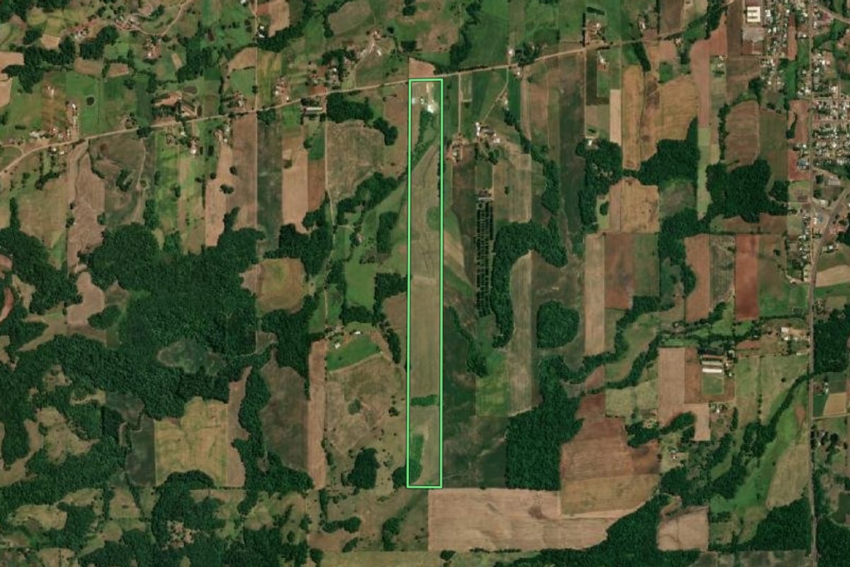 Imagem de satélite do imóvel rural em São Paulo das Missões (RS), com o contorno declarado no CAR desenhado por cima.