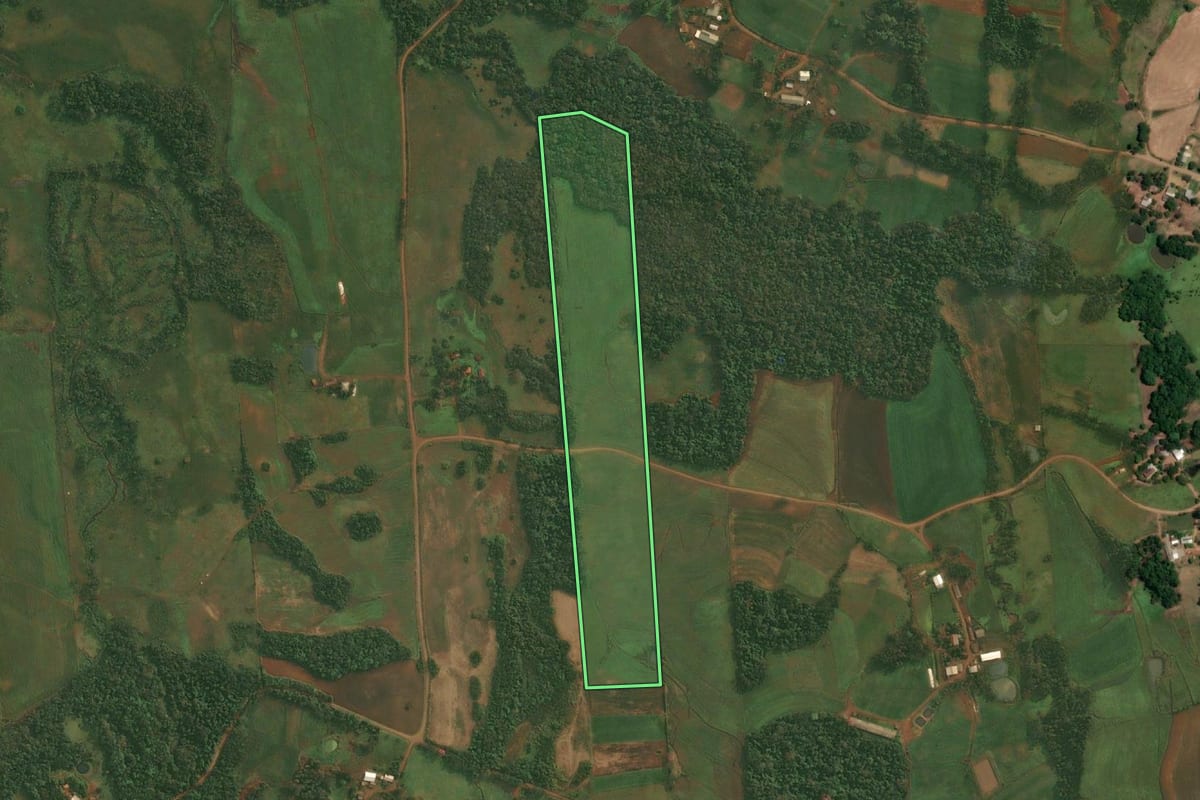 Imagem de satélite do imóvel rural em São Paulo das Missões (RS), com o contorno declarado no CAR desenhado por cima.