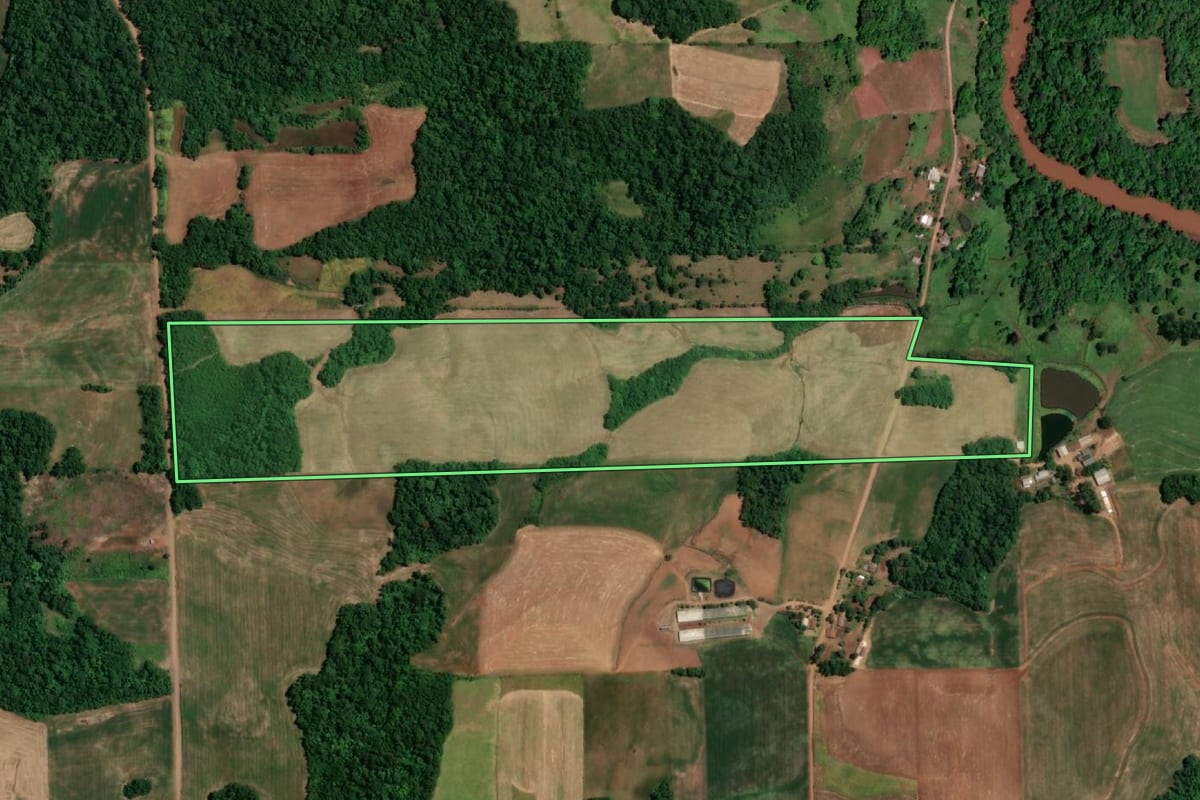 Imagem de satélite do imóvel rural em São Paulo das Missões (RS), com o contorno declarado no CAR desenhado por cima.