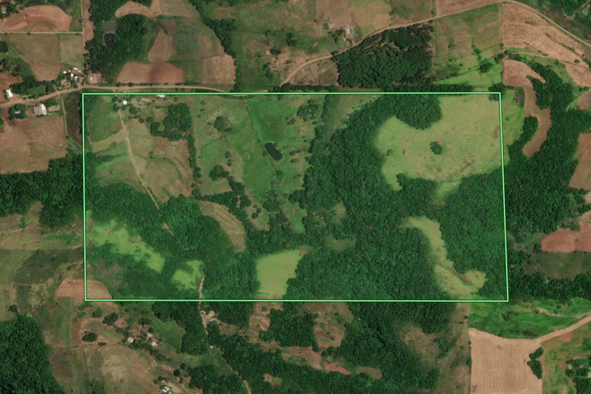 Imagem de satélite do imóvel rural em São Paulo das Missões (RS), com o contorno declarado no CAR desenhado por cima.