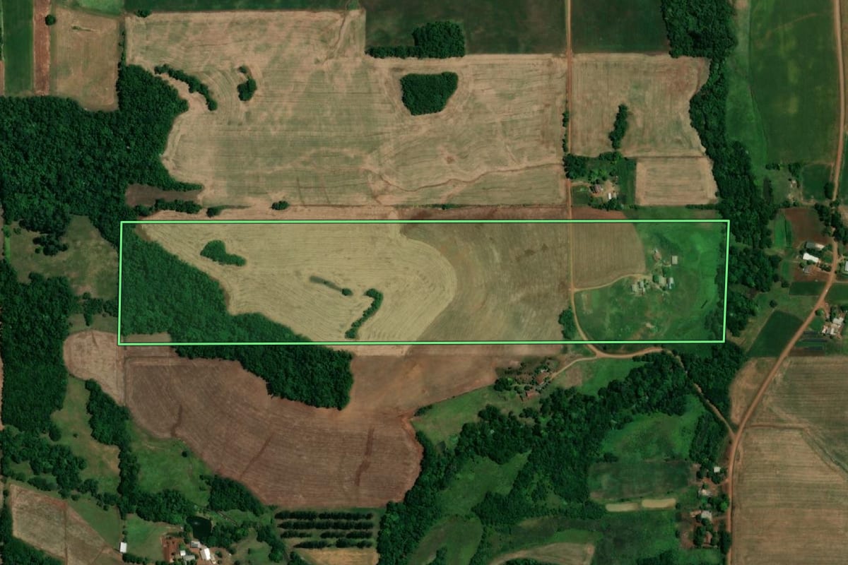 Imagem de satélite do imóvel rural em São Paulo das Missões (RS), com o contorno declarado no CAR desenhado por cima.