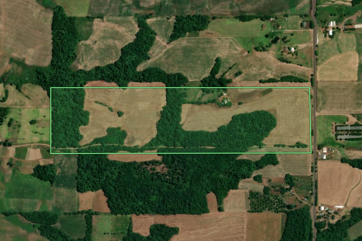 Imagem de satélite do imóvel rural em São Paulo das Missões (RS), com o contorno declarado no CAR desenhado por cima.