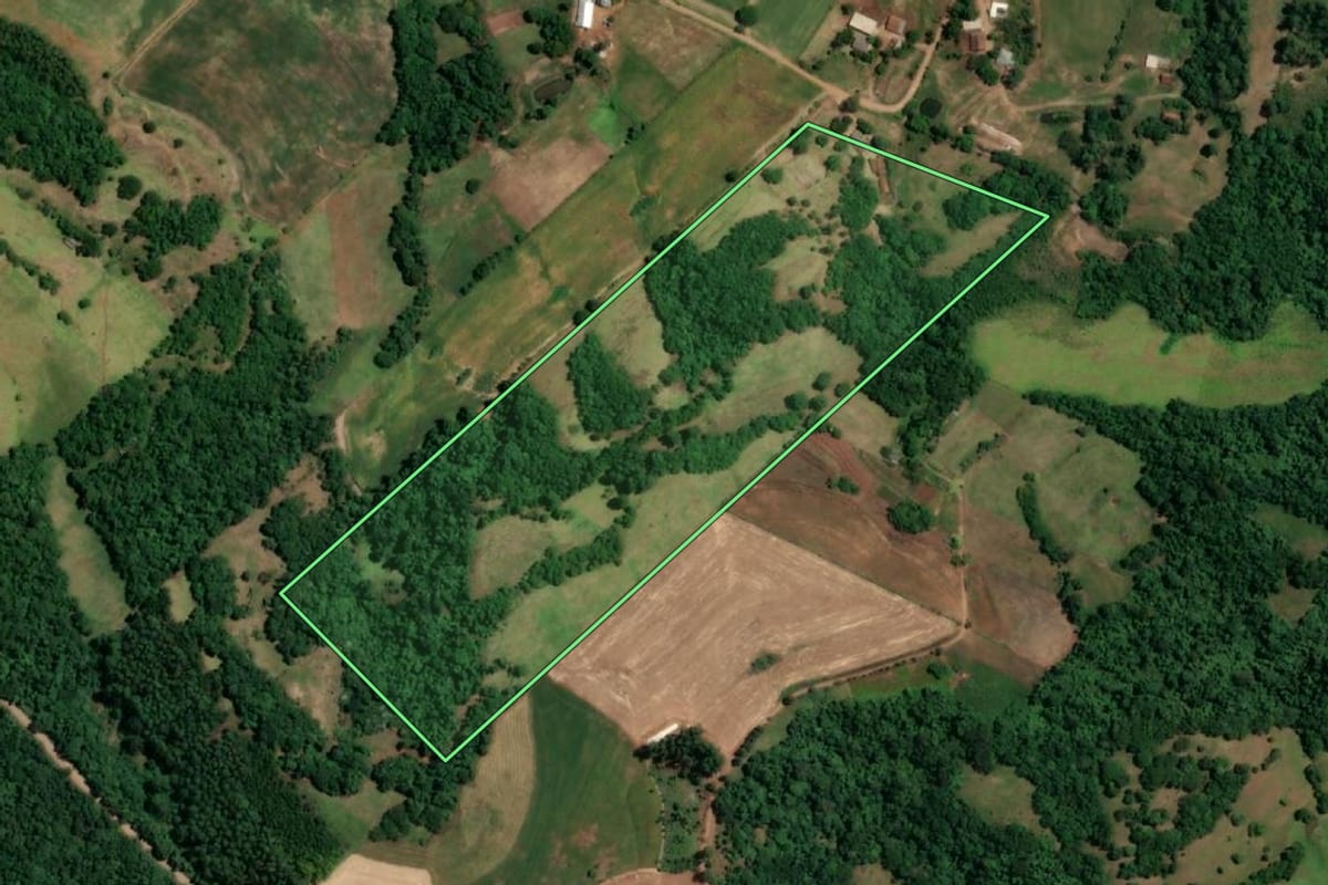 Imagem de satélite do imóvel rural em São Paulo das Missões (RS), com o contorno declarado no CAR desenhado por cima.