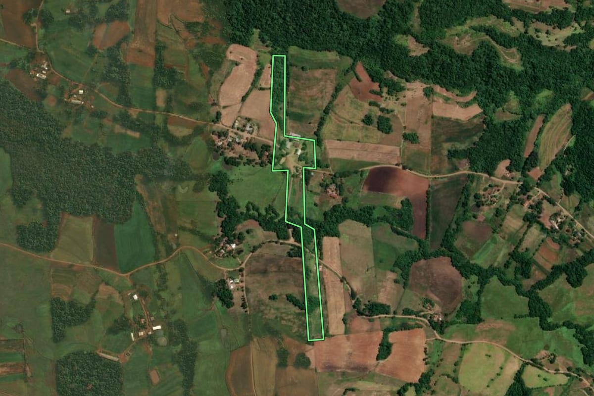 Imagem de satélite do imóvel rural em São Paulo das Missões (RS), com o contorno declarado no CAR desenhado por cima.
