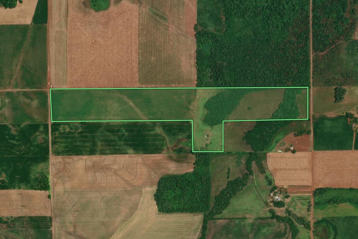 Imagem de satélite do imóvel rural em São Paulo das Missões (RS), com o contorno declarado no CAR desenhado por cima.