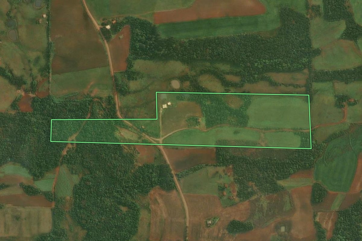 Imagem de satélite do imóvel rural em São Paulo das Missões (RS), com o contorno declarado no CAR desenhado por cima.