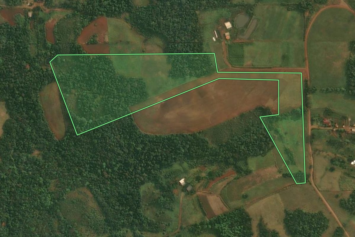 Imagem de satélite do imóvel rural em São Paulo das Missões (RS), com o contorno declarado no CAR desenhado por cima.