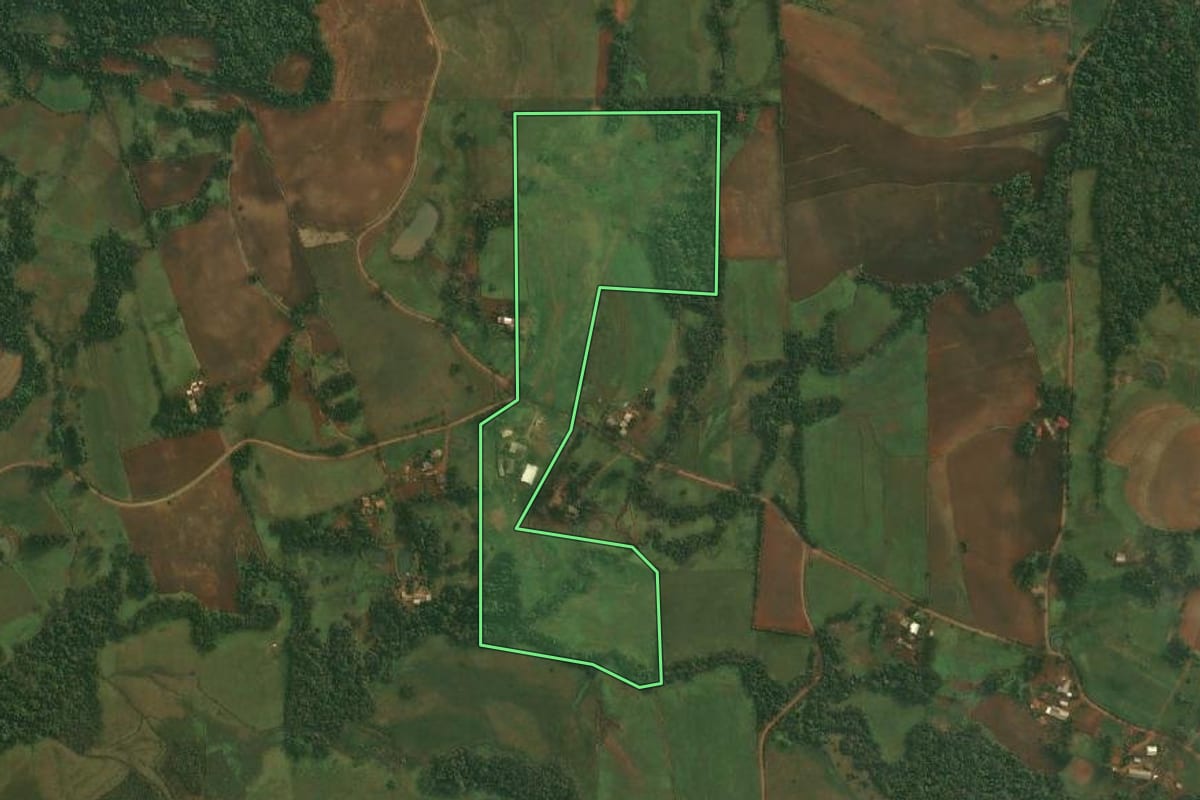 Imagem de satélite do imóvel rural em São Paulo das Missões (RS), com o contorno declarado no CAR desenhado por cima.