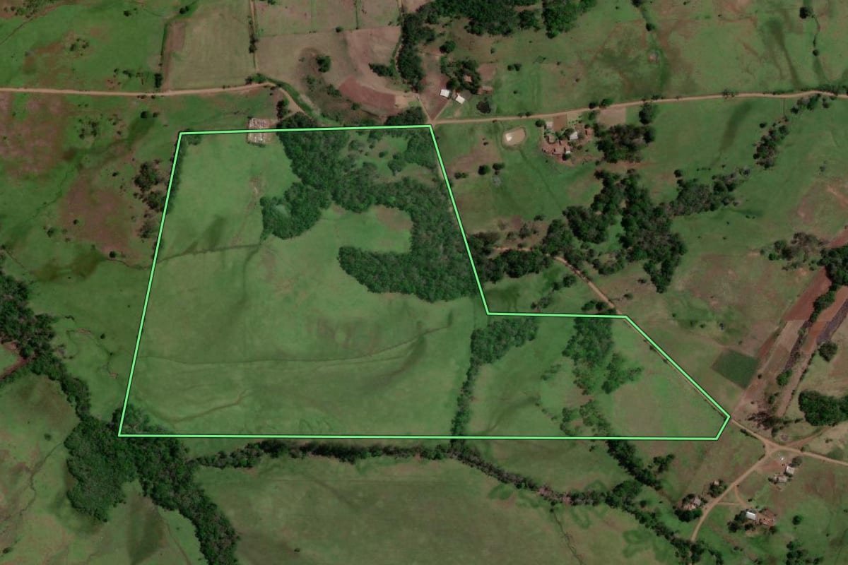 Imagem de satélite do imóvel rural em São Paulo das Missões (RS), com o contorno declarado no CAR desenhado por cima.