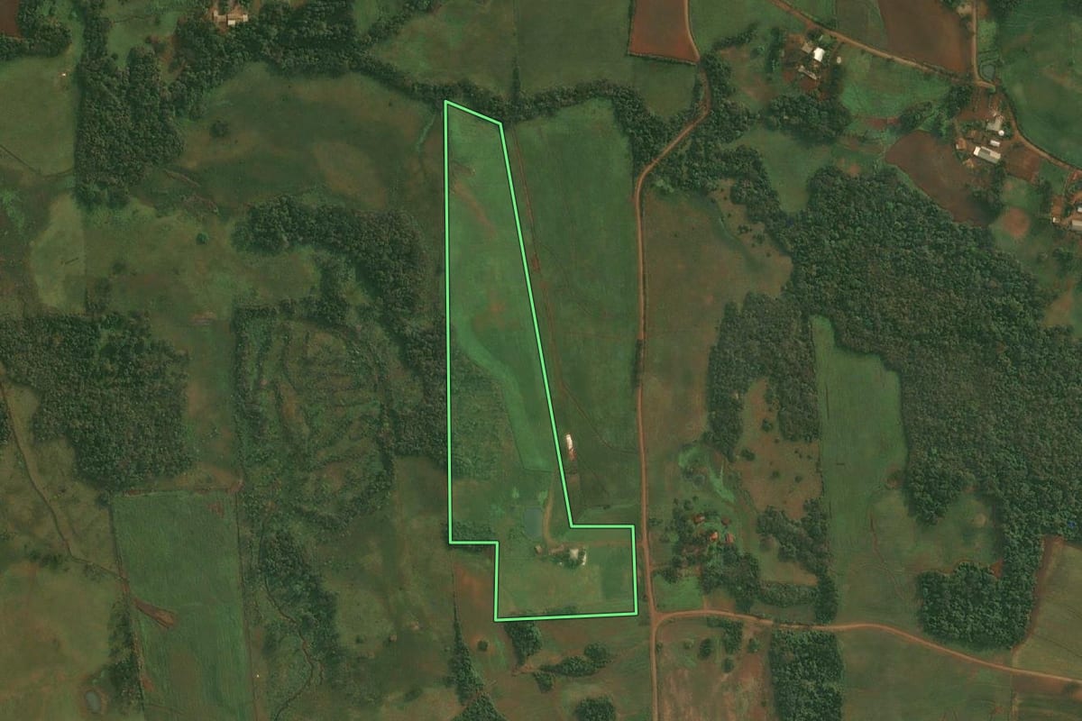 Imagem de satélite do imóvel rural em São Paulo das Missões (RS), com o contorno declarado no CAR desenhado por cima.