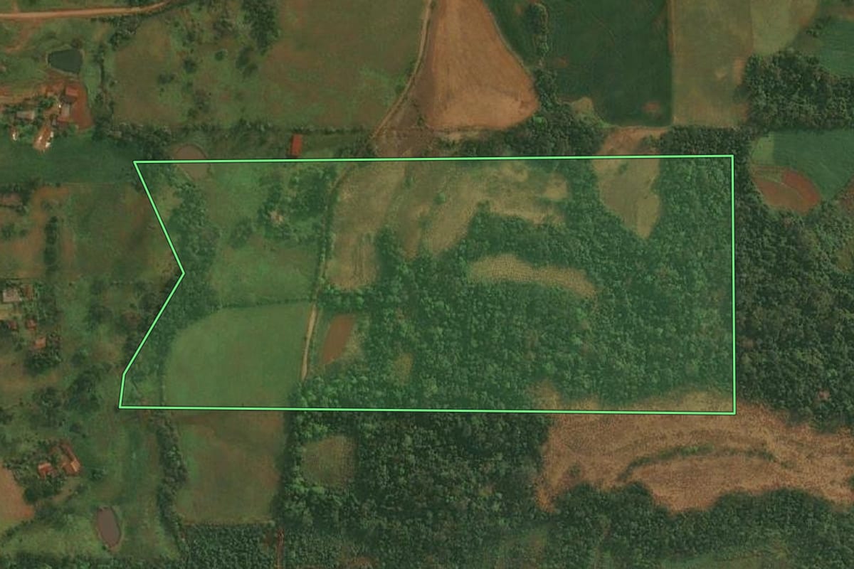 Imagem de satélite do imóvel rural em São Paulo das Missões (RS), com o contorno declarado no CAR desenhado por cima.