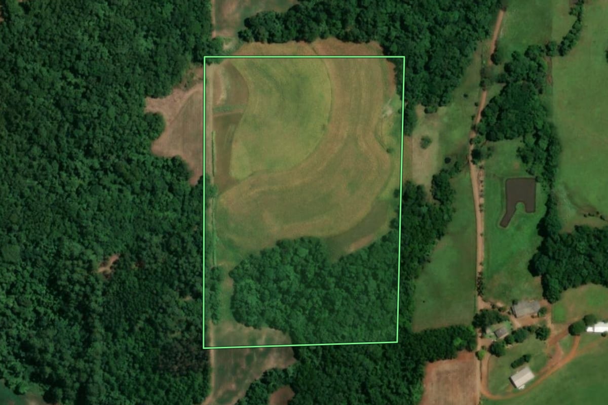 Imagem de satélite do imóvel rural em São Paulo das Missões (RS), com o contorno declarado no CAR desenhado por cima.