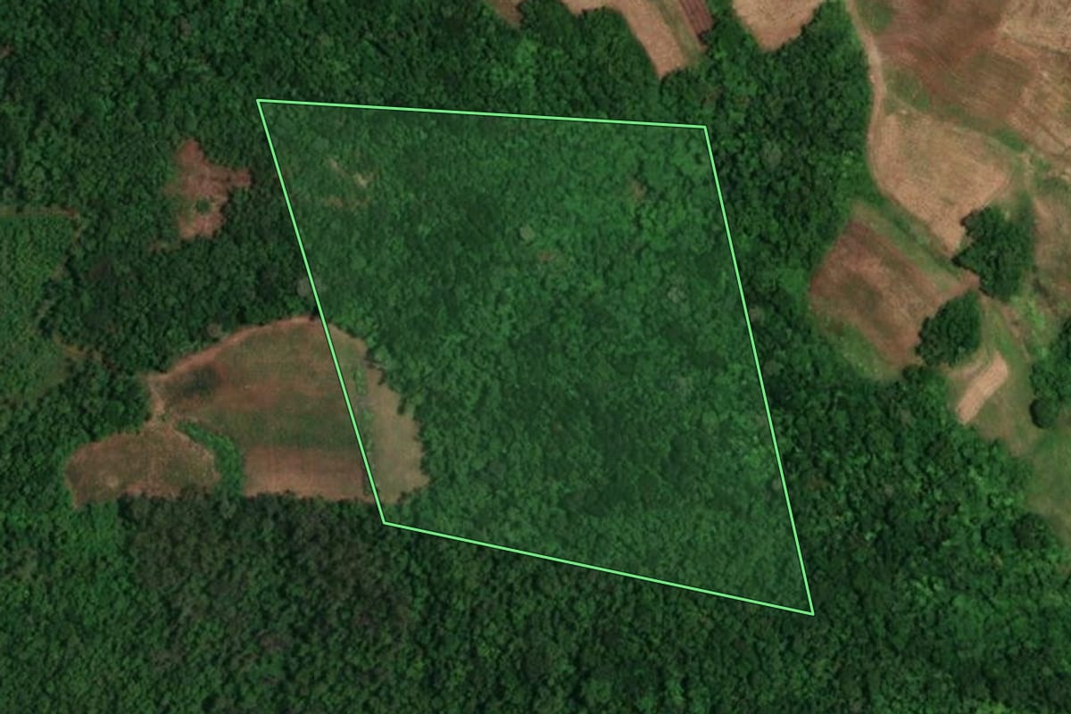Imagem de satélite do imóvel rural em São Paulo das Missões (RS), com o contorno declarado no CAR desenhado por cima.
