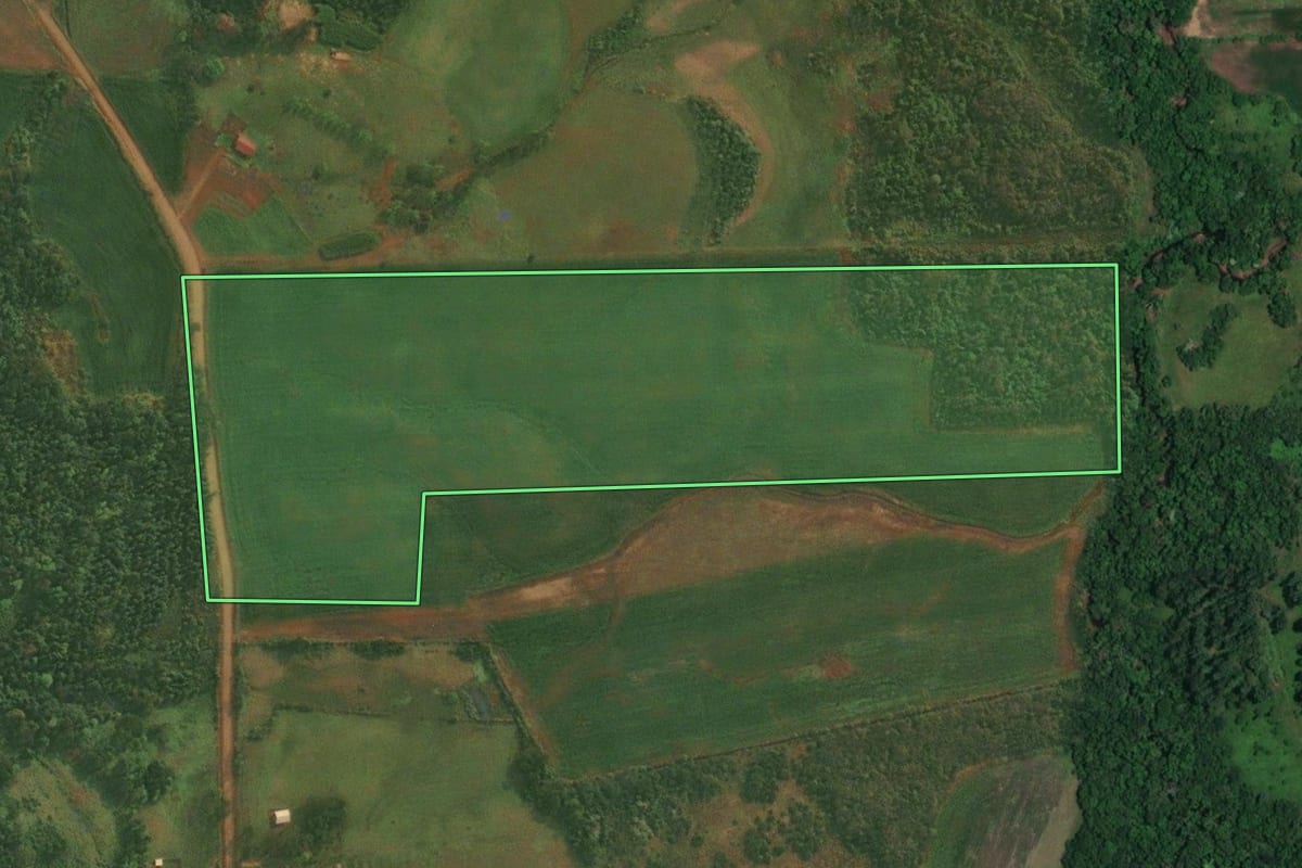 Imagem de satélite do imóvel rural em São Paulo das Missões (RS), com o contorno declarado no CAR desenhado por cima.