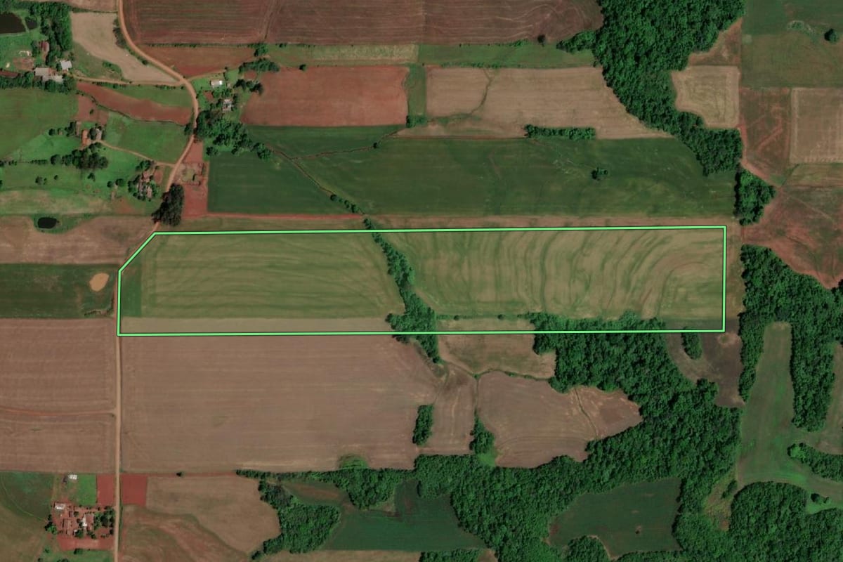 Imagem de satélite do imóvel rural em São Paulo das Missões (RS), com o contorno declarado no CAR desenhado por cima.
