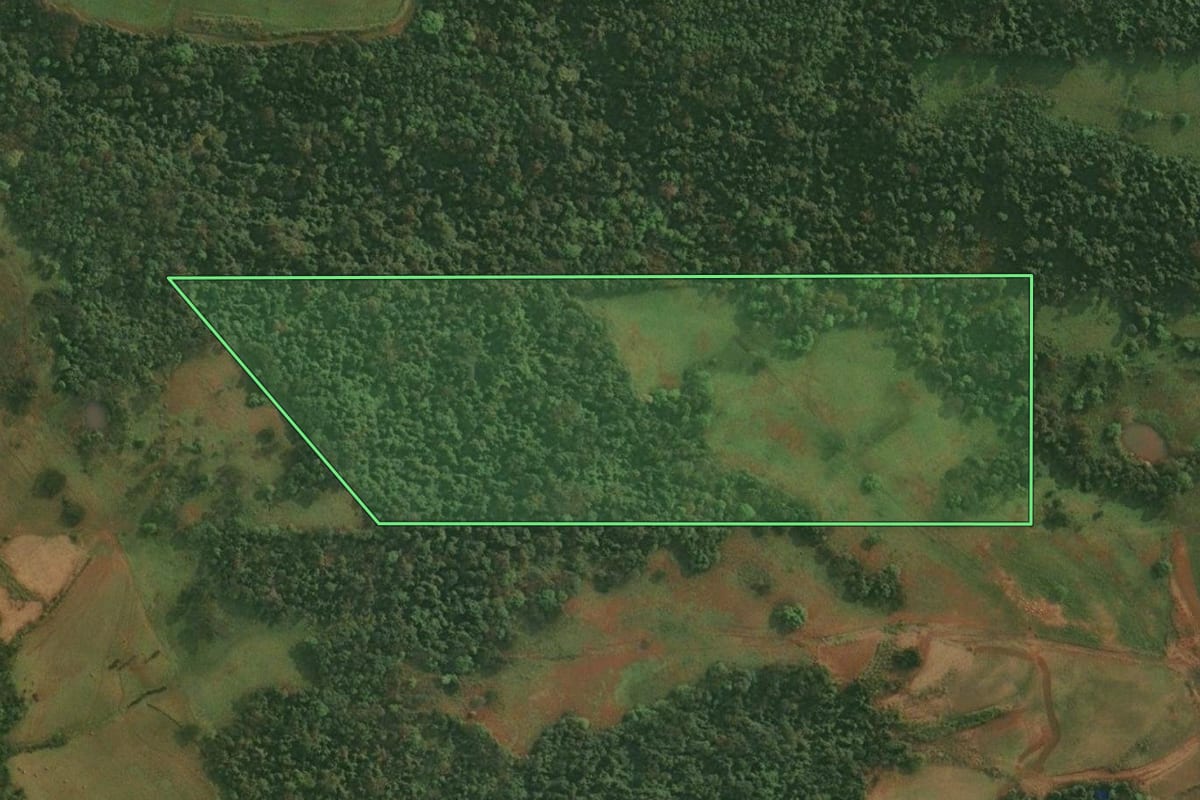 Imagem de satélite do imóvel rural em São Paulo das Missões (RS), com o contorno declarado no CAR desenhado por cima.