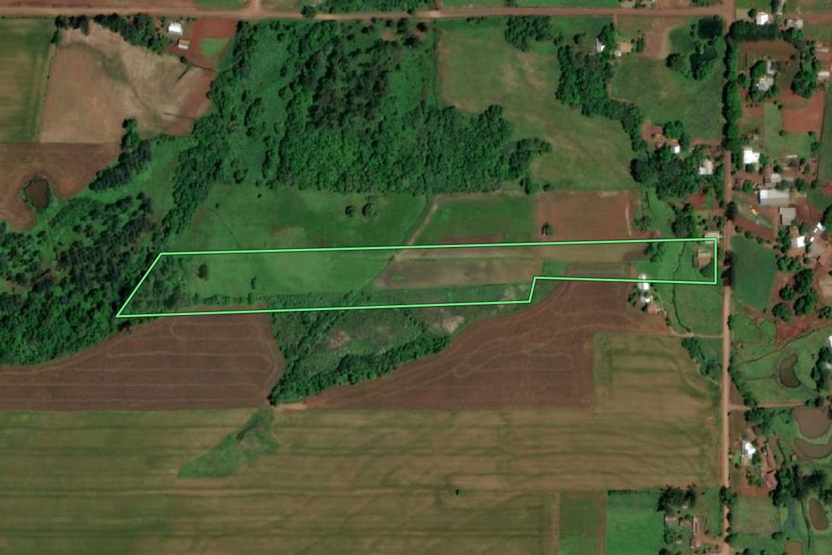 Imagem de satélite do imóvel rural em São Paulo das Missões (RS), com o contorno declarado no CAR desenhado por cima.