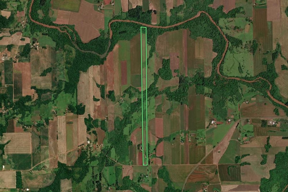 Imagem de satélite do imóvel rural em São Paulo das Missões (RS), com o contorno declarado no CAR desenhado por cima.