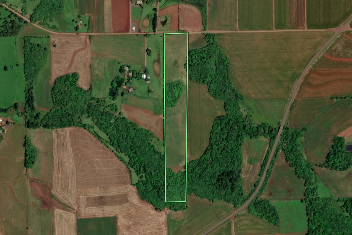 Imagem de satélite do imóvel rural em São Paulo das Missões (RS), com o contorno declarado no CAR desenhado por cima.