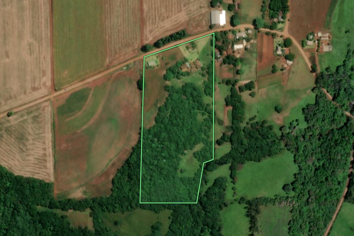 Imagem de satélite do imóvel rural em São Paulo das Missões (RS), com o contorno declarado no CAR desenhado por cima.