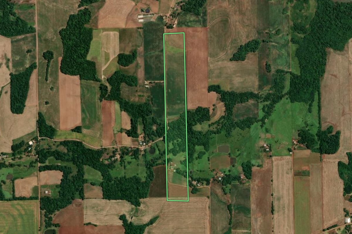 Imagem de satélite do imóvel rural em São Paulo das Missões (RS), com o contorno declarado no CAR desenhado por cima.