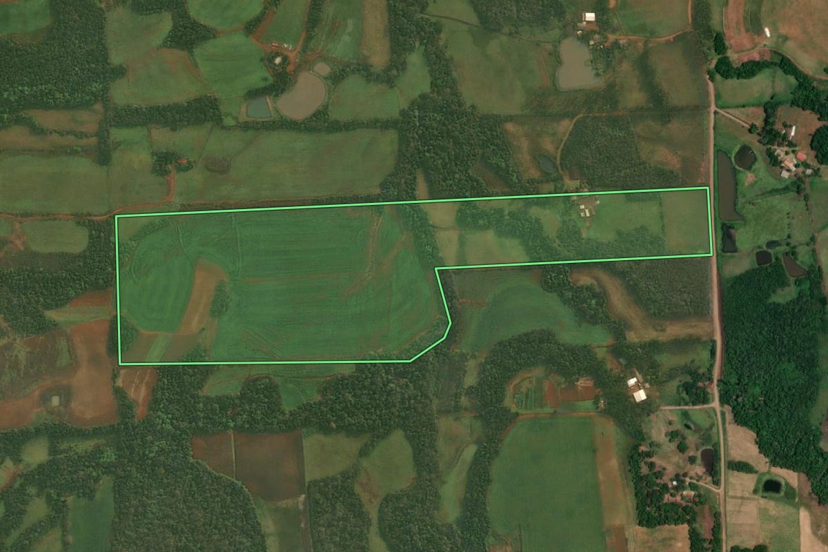 Imagem de satélite do imóvel rural em São Paulo das Missões (RS), com o contorno declarado no CAR desenhado por cima.