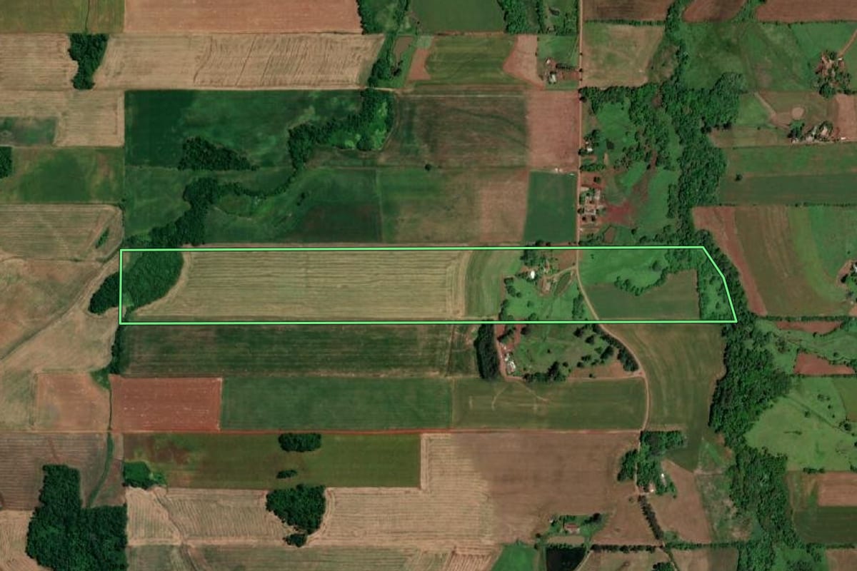 Imagem de satélite do imóvel rural em São Paulo das Missões (RS), com o contorno declarado no CAR desenhado por cima.