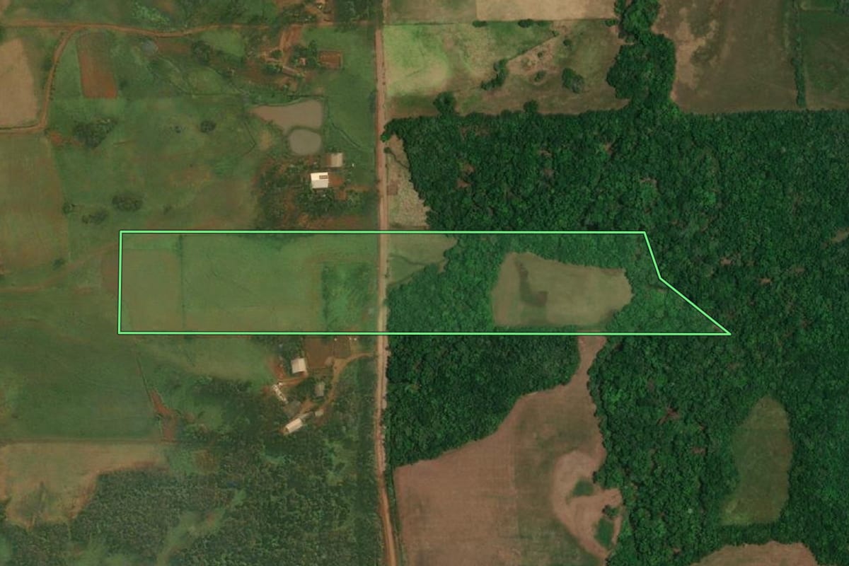 Imagem de satélite do imóvel rural em São Paulo das Missões (RS), com o contorno declarado no CAR desenhado por cima.