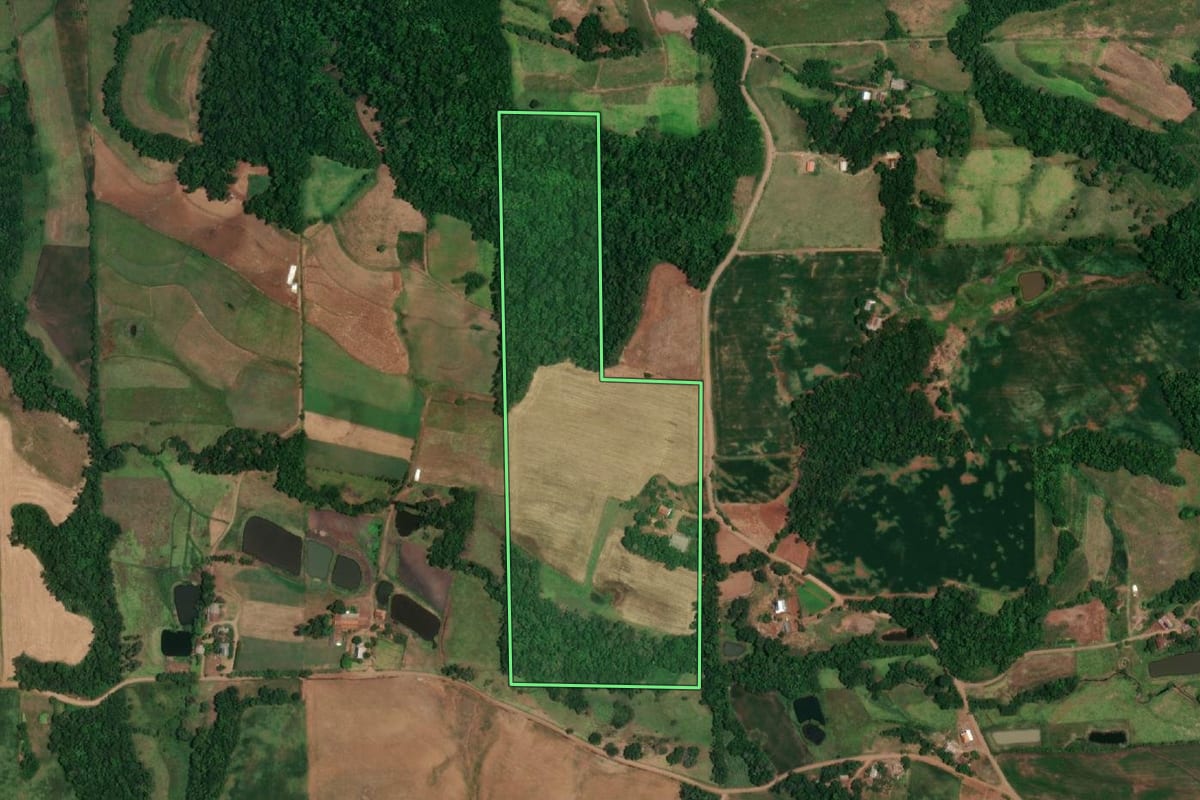 Imagem de satélite do imóvel rural em São Paulo das Missões (RS), com o contorno declarado no CAR desenhado por cima.