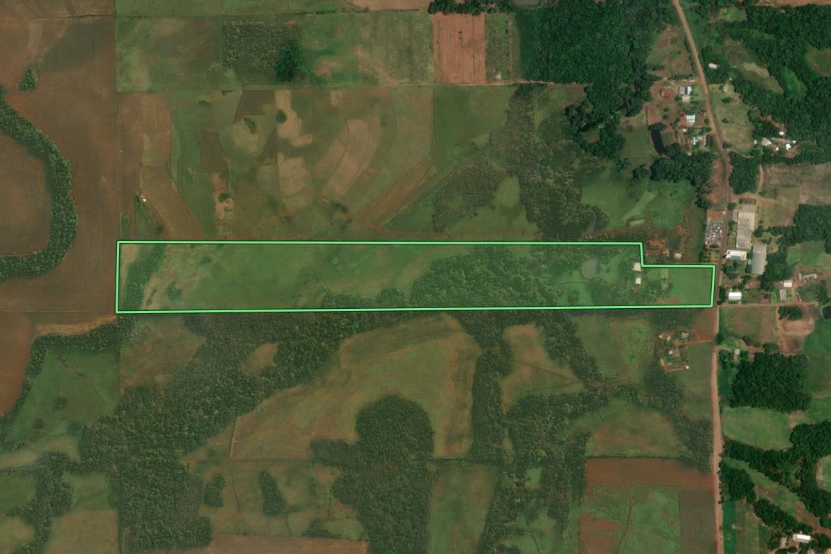 Imagem de satélite do imóvel rural em São Paulo das Missões (RS), com o contorno declarado no CAR desenhado por cima.